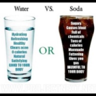 Water VS. Soda